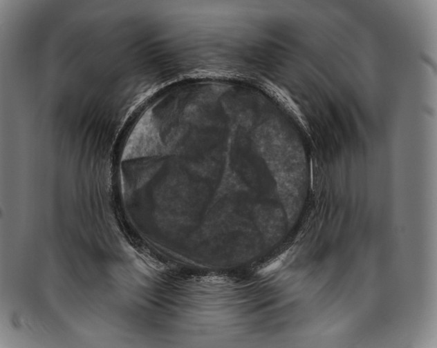 X0000096470204200802211158