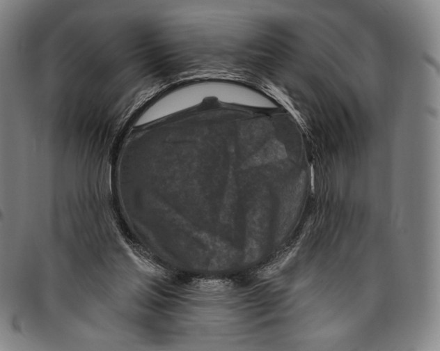 X0000096470205200802211158