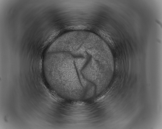 X0000096470206200802211158