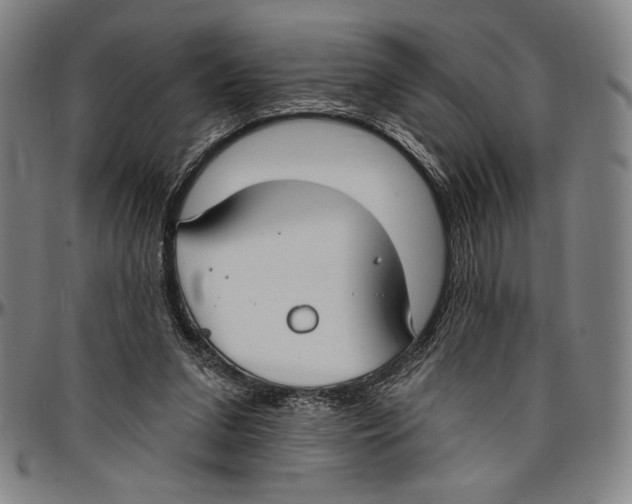 X0000096470207200802211158