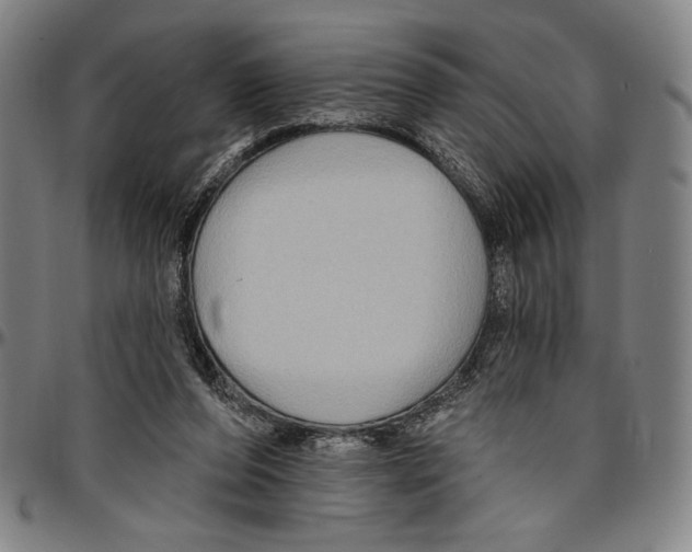 X0000096470208200802211158