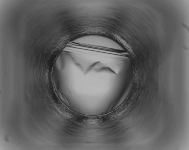 X0000096470209200802211158