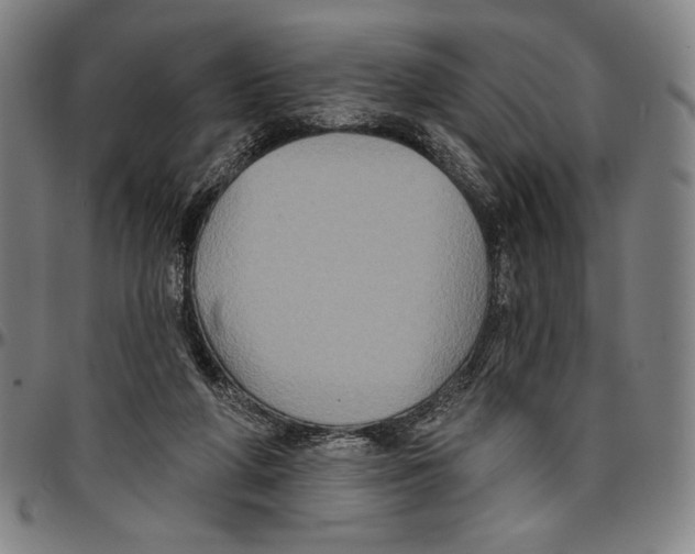 X0000096470210200802211158