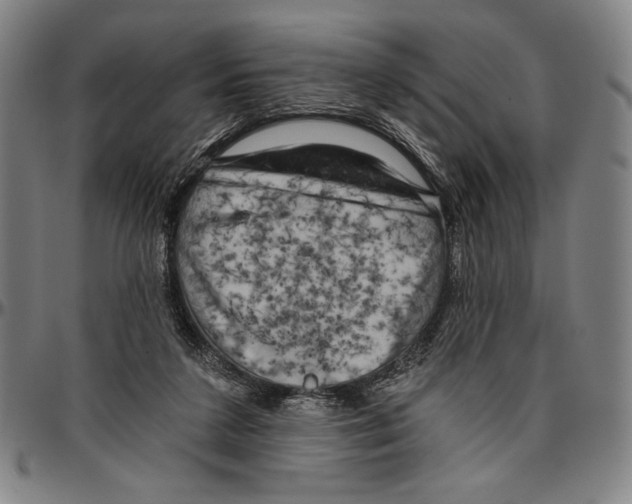 X0000096470211200802211158