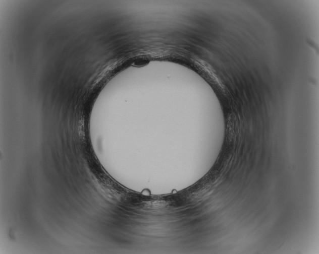 X0000096470212200802211158