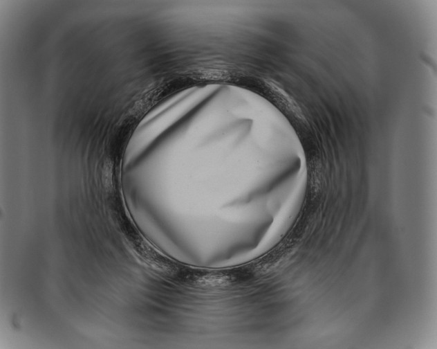 X0000096470213200802211158