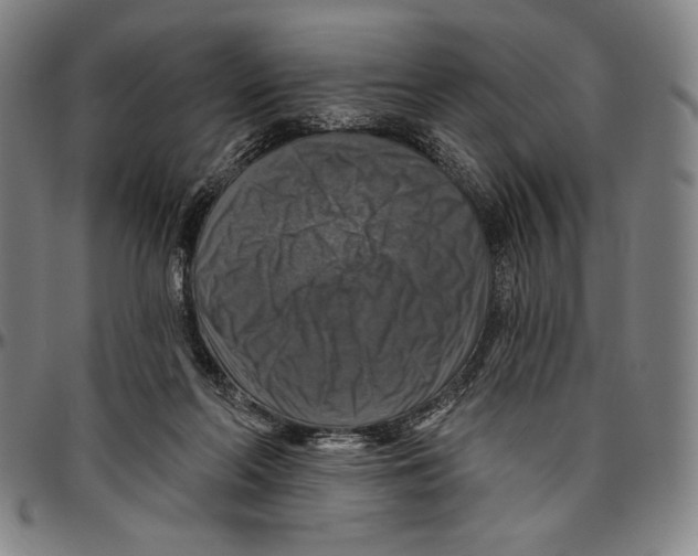 X0000096470214200802211158
