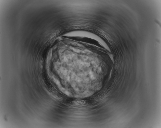X0000096470215200802211158