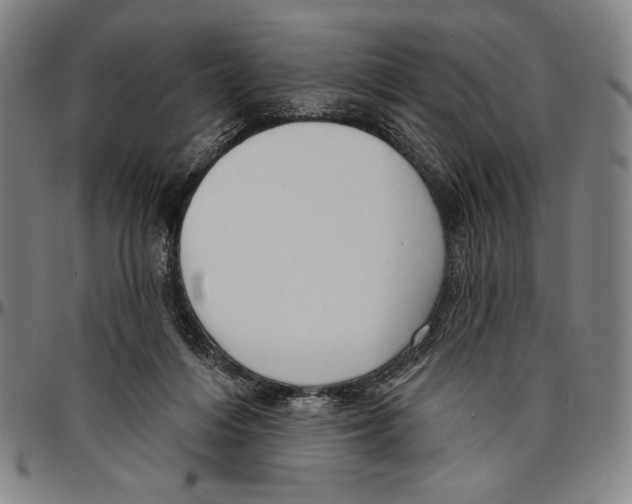 X0000096470216200802211158