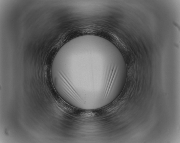 X0000096470217200802211158