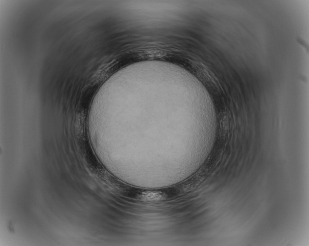 X0000096470218200802211158