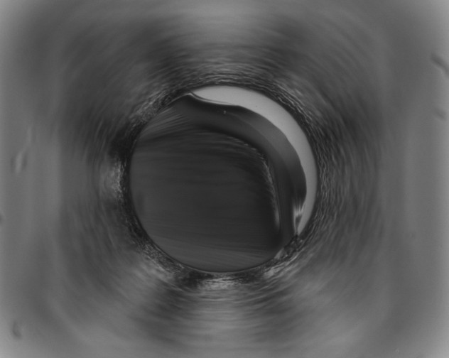 X0000096470219200802211158