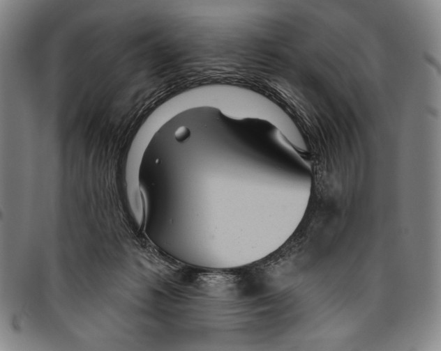 X0000096470221200802211158