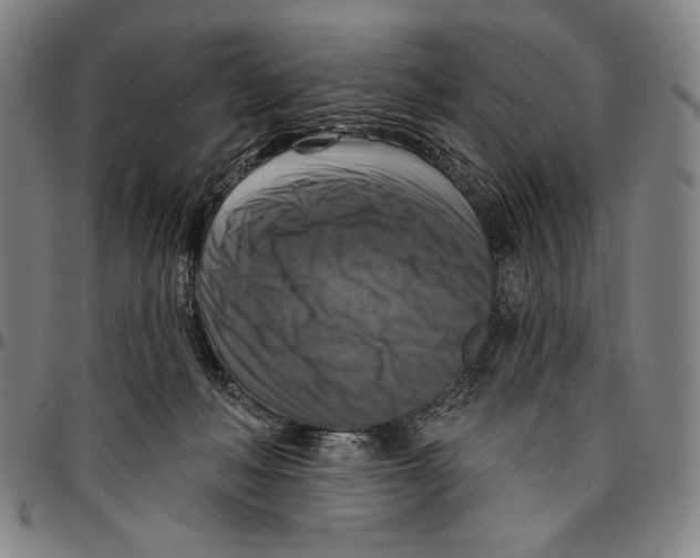 X0000096470222200802211158