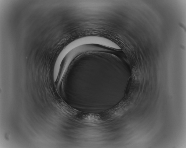 X0000096470223200802211158