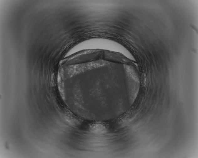 X0000096470224200802211158