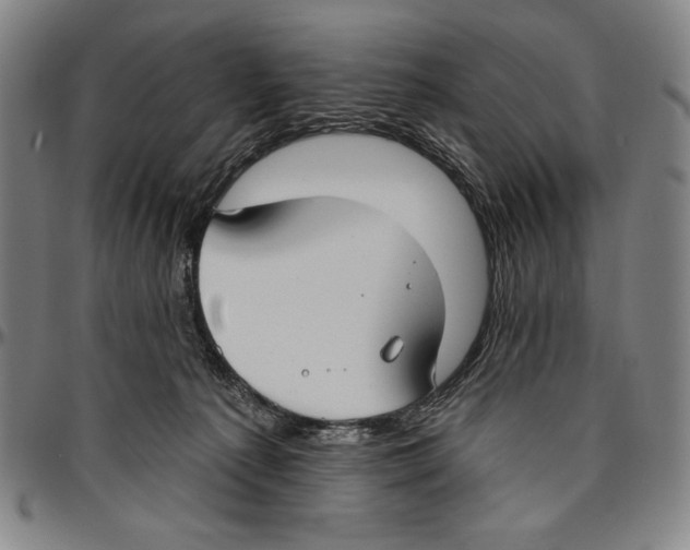 X0000096470225200802211158