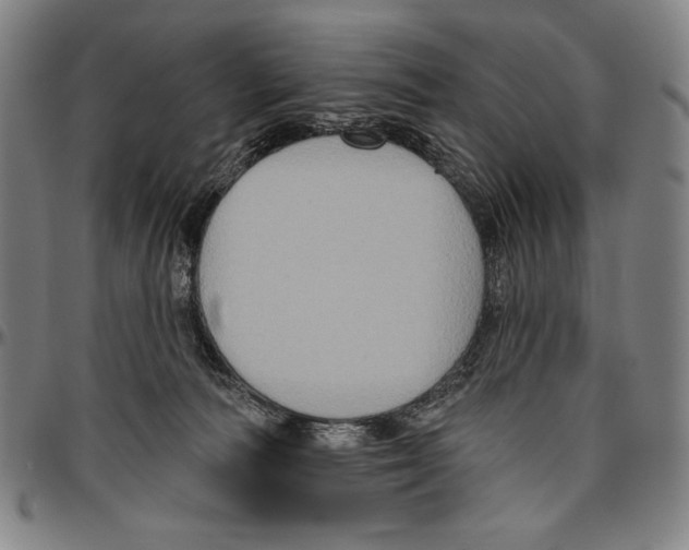 X0000096470226200802211158