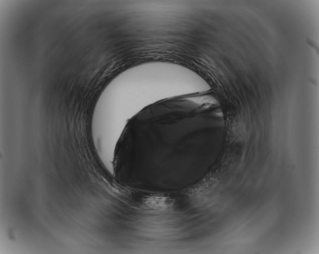 X0000096470227200802211158