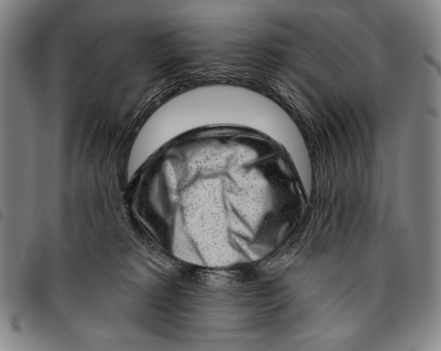 X0000096470229200802211158
