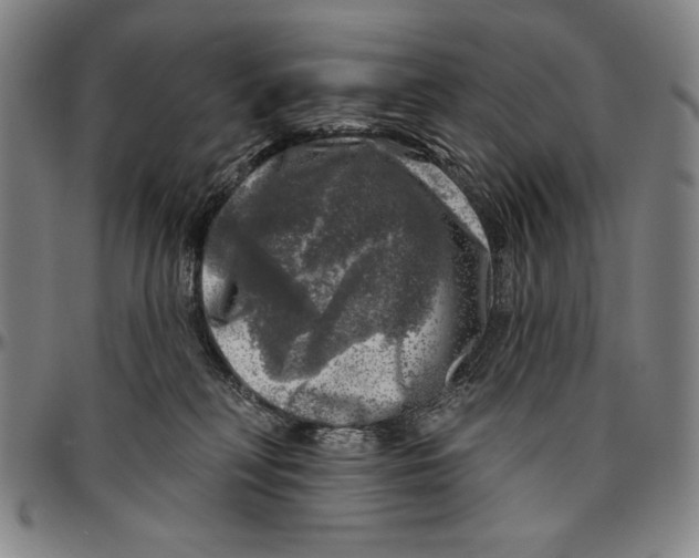 X0000096470230200802211158