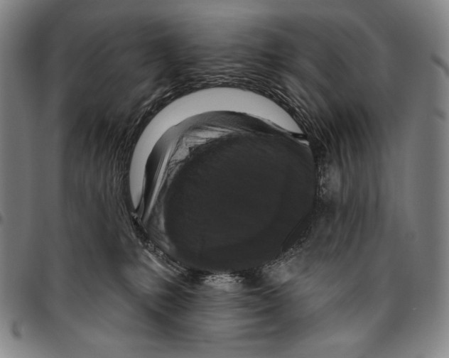 X0000096470231200802211158