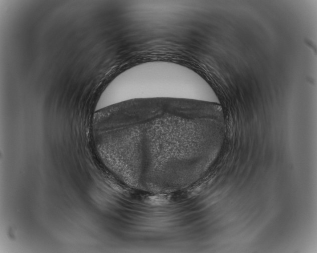 X0000096470232200802211158