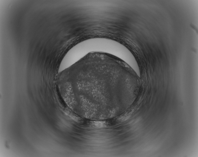 X0000096470233200802211158
