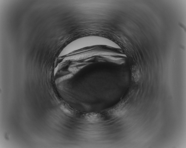 X0000096470235200802211158