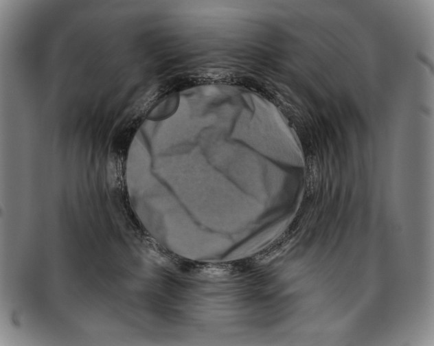 X0000096470236200802211158