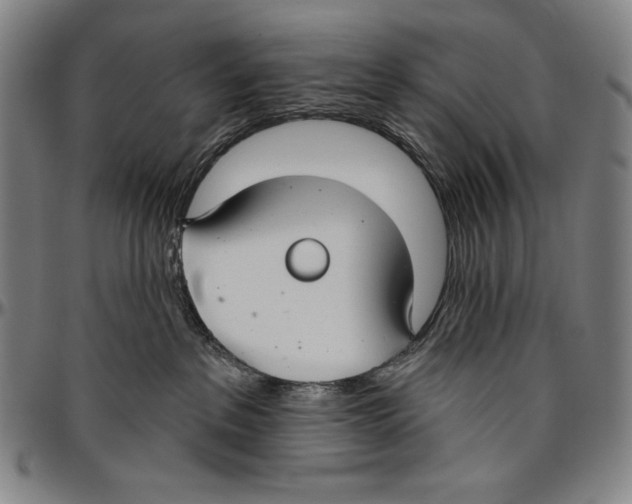 X0000096470237200802211158