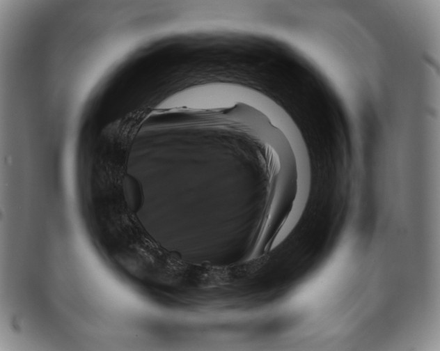 X0000096470239200802211158