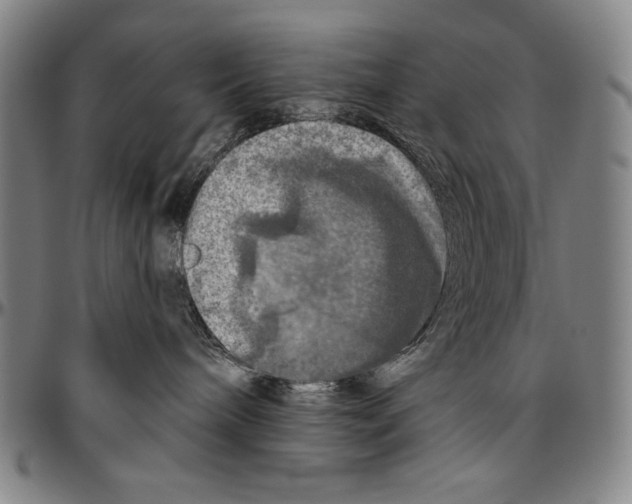 X0000096470240200802211158