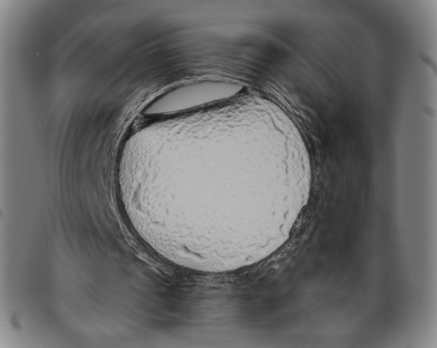 X0000096470241200802211157
