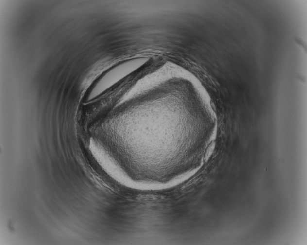 X0000096470242200802211157