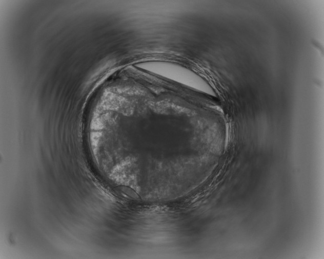 X0000096470243200802211157