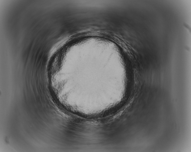 X0000096470245200802211157