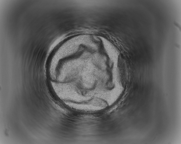X0000096470246200802211157