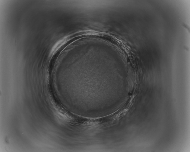X0000096470247200802211157