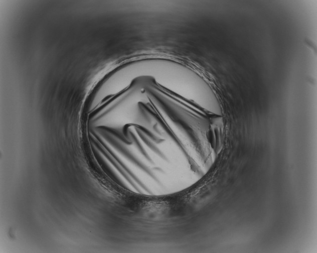 X0000096470248200802211157