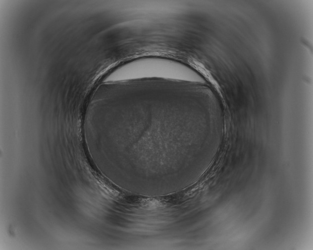 X0000096470249200802211157
