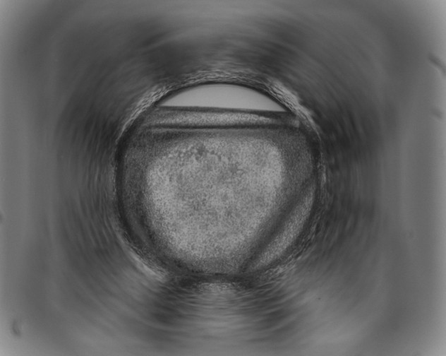 X0000096470250200802211157