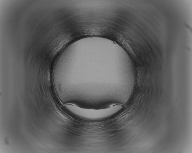 X0000096470251200802211157