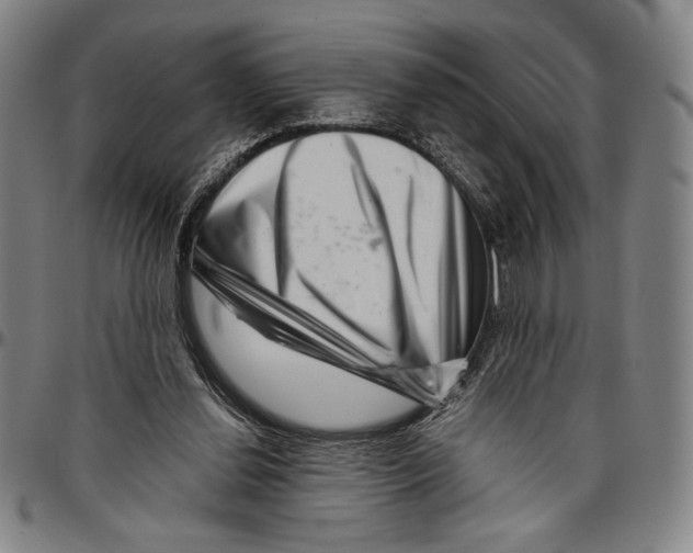 X0000096470252200802211157