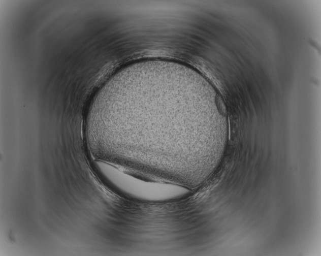 X0000096470253200802211157
