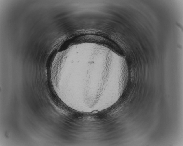 X0000096470254200802211157