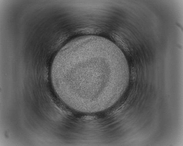 X0000096470255200802211157