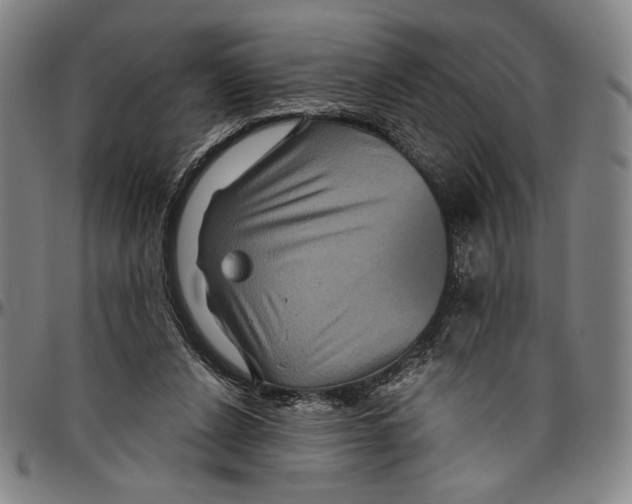 X0000096470256200802211157