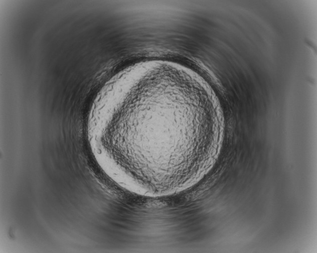 X0000096470257200802211157