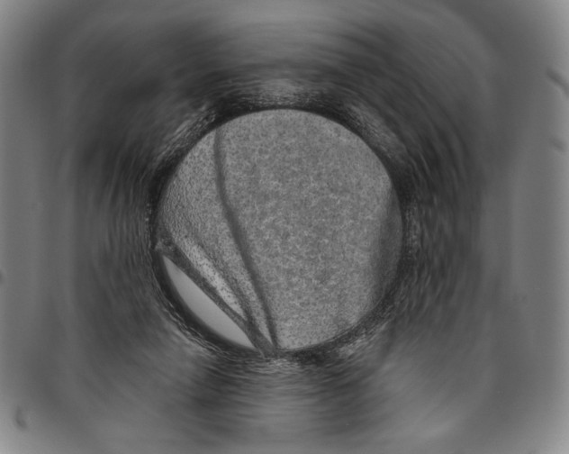X0000096470258200802211157